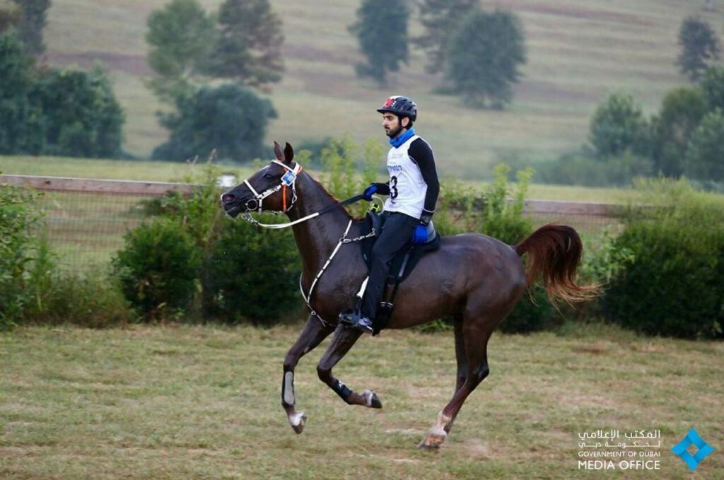 Hamdan bin Mohammed Al Maktoum Horsemanship