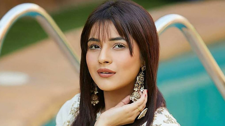 Shehnaaz Gill, Age, Family Net Worth | Biography 2024